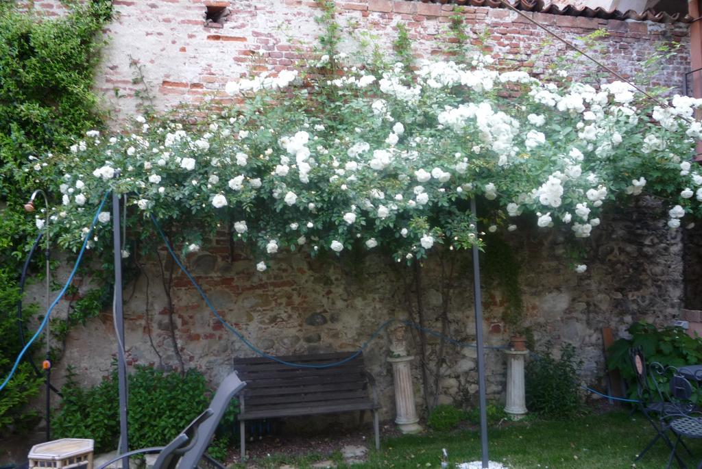Lori'S Inn Mondovì Eksteriør billede